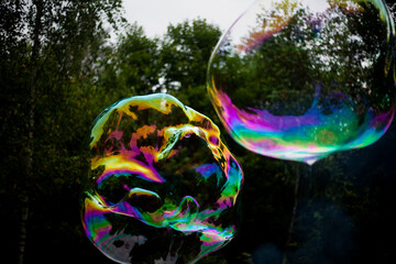 Big soap bubble. Bubble in the forest.
