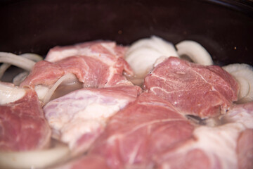 Raw kebab with vegetables. Russian shashlik.