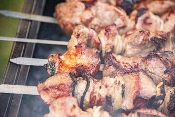 Raw kebab with vegetables. Russian shashlik.