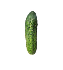Vegetable cucumber on white background