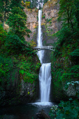 Fototapeta premium Multnomah Falls, Columbia River Gorge, Oregon
