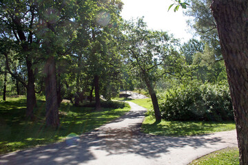 Walking in a Park in Helsinki, Finland