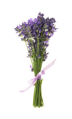 Beautiful fresh lavender bouquet isolated on white