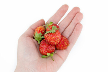 Strawberries in the palm on a white background.