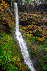 Fototapeta na wymiar Winter Falls, Silver Falls State Park, Oregon