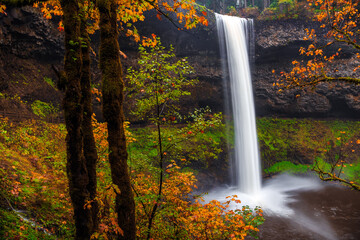Fototapeta premium South Falls in Autumn, Silver Falls State Park, Oregon