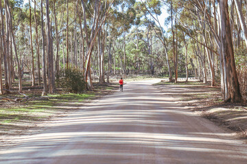 jogger in the forest