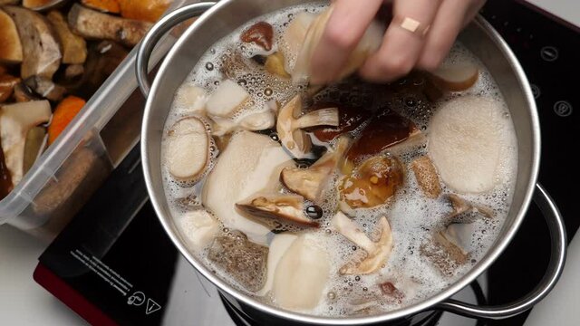 Boiling mushrooms in pan. Cooking process. Nobody
