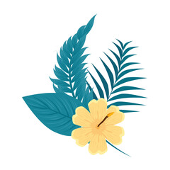 hibiscus beautiful yellow color, with branches and tropical leaves nature, spring summer botanical