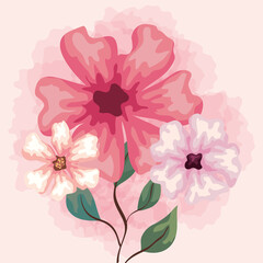flowers pink color, branches with leaves, nature decoration
