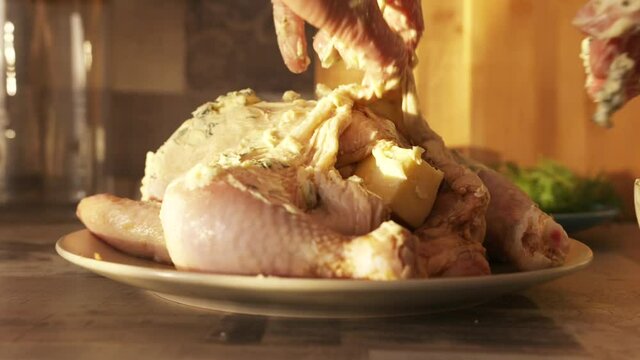 Raw marinated whole chicken for baking in the oven. Action. Close up of woman hand putting white cream sauce with greenery and garlic inside the chicken, foodporn concept.