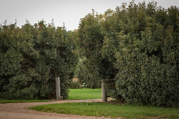 Little boy walking through flooded creek wearing wet gumboots