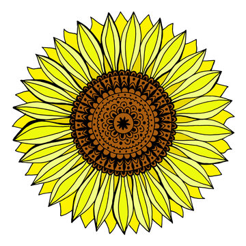 Vector drawing of a sunflower, duduled drawing of a yellow flower, flower filled pattern, freehand drawing of a sun flower, element for decor, textile, design