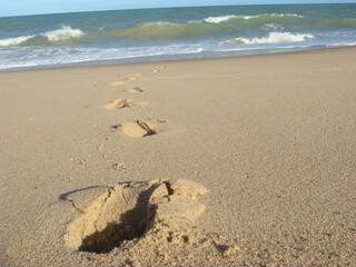 footprints on the beach