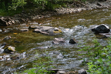 Beauty in the Smokies