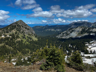 Cascade Mountain range inside Mt Rainier National Park as seen from Sourdough Ridge Trail