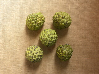 Obraz premium Green color Sugar apple or sweetsop fruits