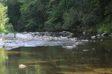 Beauty in the Smokies