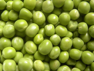 Green color whole raw peas