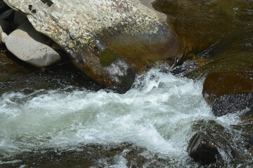 Beauty in the Smokies