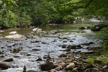 Beauty in the Smokies