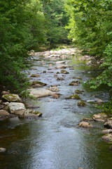 Beauty in the Smokies