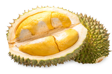 Fototapeta premium A fresh durian (Puangmanee Durian) is the king of fruits on white background,durian fruit with delicious golden yellow soft flesh,durian isolated on white background