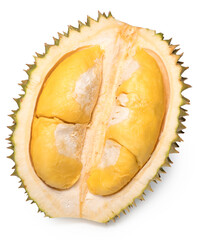 A fresh durian (Puangmanee Durian) is the king of fruits on white background,durian fruit with delicious golden yellow soft flesh,durian isolated on white background
