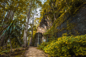 Natural background in the park with many kinds of plants, large stones, allow tourists to stop and take photos while traveling, the beauty of the ecosystem