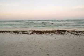 Long exposure shot. The beach at sunset. The white sand, sargassum seaweed and blurred sea waves at with beautiful twilight colors and sunlight reflection in the ocean water.