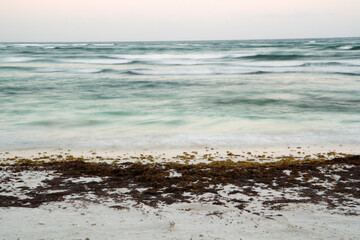 Long exposure shot. View of the beach at sunset. The blurred sea waves, sargassum seaweed, white sand shore and horizon. The water surface reflects the beautiful dusk light. 