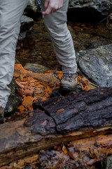 hiking in the mountains