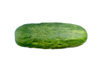 Cucumber