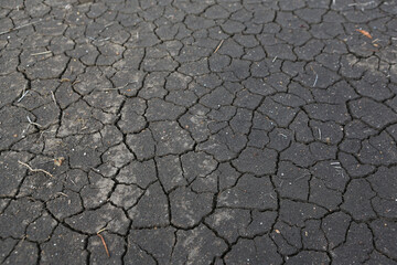 Crack earth and dry black soil. Drought on the ground