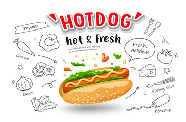 Hot dog vector, hot and fresh, with food drawing poster banner design isolated on white background, illustration