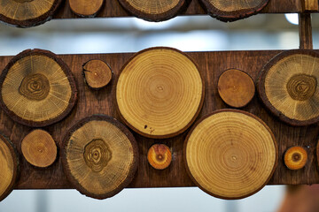 Image of a juniper tree cut.