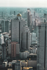 Fototapeta na wymiar Edificios de la ciudad de Bangkok vistos desde un mirador. Se observan una variada arquitectura