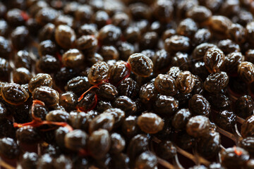 close up of a pile of papaya seeds
