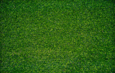 Obraz premium Top view of artificial grass texture.