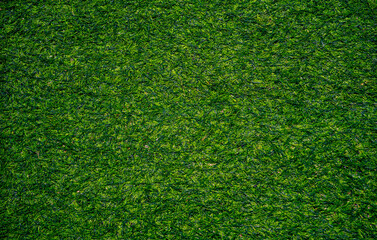 Obraz premium Top view of artificial grass texture.