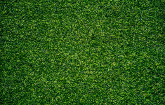Top view of artificial grass texture.