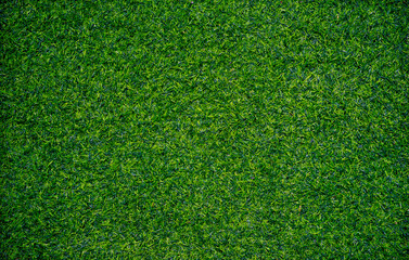 Obraz premium Closeup of artificial grass texture