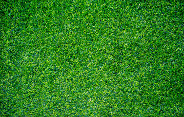 Fototapeta premium Top view of artificial grass texture.