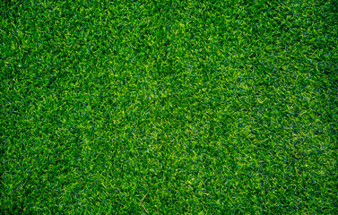 Fototapeta premium Artificial grass background. Wallpaper and background concept.