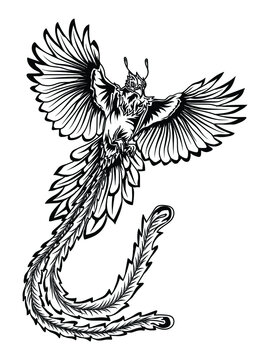 artwork illustration and t-shirt design black and white hand drawn phoenix premium vector