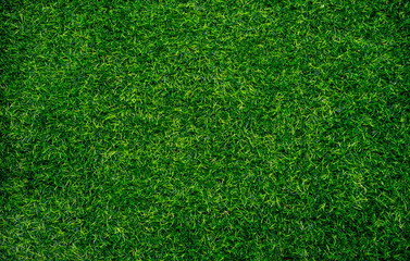 Artificial grass texture as background