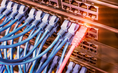 Network switch and ethernet cables in red and blue colors. Data Center