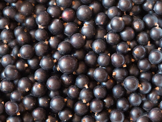 Black currant ripe berries close - up view