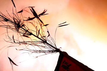 the Earth God parade. The Earth God is believed to protect villages and homes.