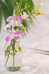 Purple orchid in a glass bottle.